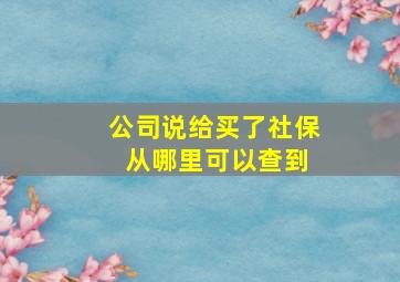 公司说给买了社保 从哪里可以查到